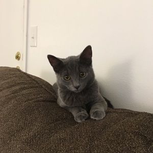 Meet your Posher, Kimberly